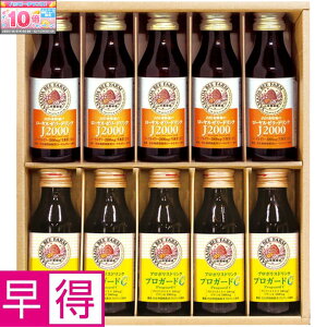 Gg[Ń|Cg10{y~̑̑zRc{Iꃍ[[[Ev|XhNMtg