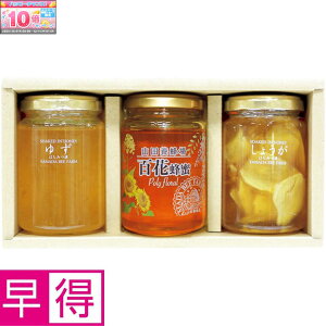 Gg[Ń|Cg10{y~̑̑zRc{IIE݂͂3{Zbg