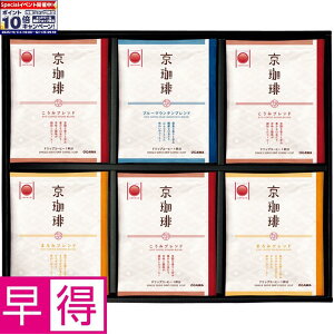 Gg[Ń|Cg10{y~̑̑z苞 hbvR[q[Mtg