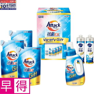 Gg[Ń|Cg10{y~̑̑zԉA^bNREXoGeB[Mtg