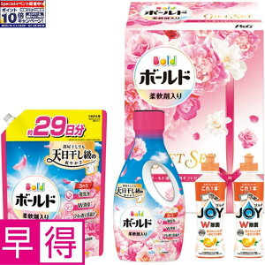 Gg[Ń|Cg10{y~̑̑zPG{[ht̐܃MtgZbg