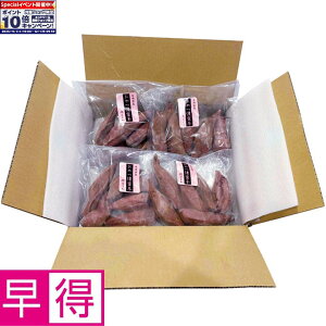 Gg[Ń|Cg10{y~̑̑z茧YⓀZ g͂邩ipj