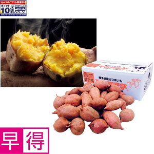 Gg[Ń|Cg10{y~̑̑zYq S[3kgipj