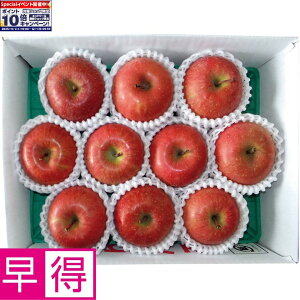 Gg[Ń|Cg10{y~̑̑zXYxIʁETӂ񂲓I2D5kg