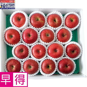 Gg[Ń|Cg10{y~̑̑zXYxIʁETӂ񂲓I4kg