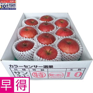 Gg[Ń|Cg10{y~̑̑zXYxIʁETӂ2D5kg