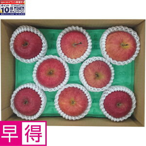 Gg[Ń|Cg10{y~̑̑zXYxIʁETӂ2kg