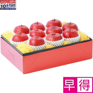 Gg[Ń|Cg10{y~̑̑zXYTӂ񂲁iGiALTCY10j