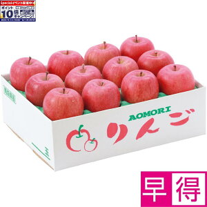 Gg[Ń|Cg10{y~̑̑zXY킯Tӂ