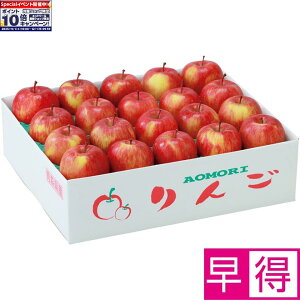 Gg[Ń|Cg10{y~̑̑zXY킯tƂ炸͔|Tӂ