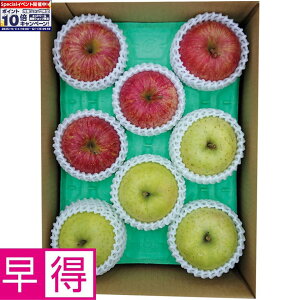 Gg[Ń|Cg10{y~̑̑zXYTӂ񂲁EA