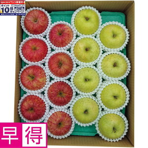 Gg[Ń|Cg10{y~̑̑zXYTӂ񂲁EB