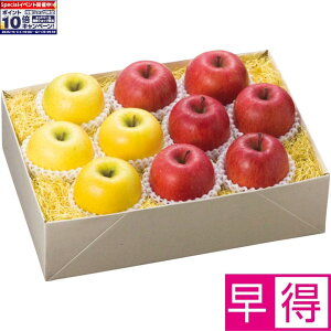 Gg[Ń|Cg10{y~̑̑zXYTӂ񂲂ƃVimS[hZbg