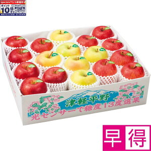 Gg[Ń|Cg10{y~̑̑zXYx13xI VimXC[gEܖETӂ̊Â݌n񂲋li14`18j