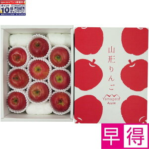 Gg[Ń|Cg10{y~̑̑zR`YTӂ