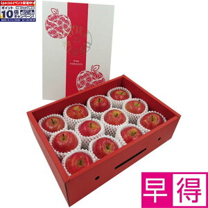 Gg[Ń|Cg10{y~̑̑zR`YƗpۂ薨Tӂ