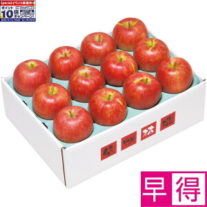 Gg[Ń|Cg10{y~̑̑z쌧YiJAȂ̎RmnjTӂ