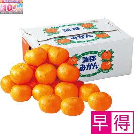 ★エントリーでポイント10倍★【冬の贈りもの早得】愛知県産蒲郡みかん5kg