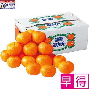 Gg[Ń|Cg10{y~̑̑zmYS݂5kg