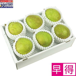 Gg[Ń|Cg10{y~̑̑zR`YEtX