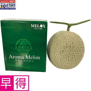 Gg[Ń|Cg10{y~̑̑zÉYiÉ_ƋgjA[}