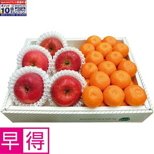 Gg[Ń|Cg10{y~̑̑zXYEa̎RYTӂ񂲁݂