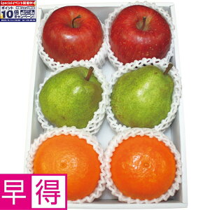 Gg[Ń|Cg10{y~̑̑zXYAQYAR`YTӂ񂲁Ag܂ǂȁEtX