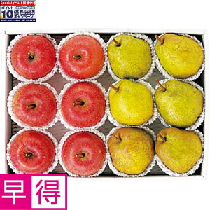 Gg[Ń|Cg10{y~̑̑zXYER`YTӂ񂲁R`EtX