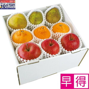 Gg[Ń|Cg10{y~̑̑zR`YTӂ񂲂ƃEtXƃfR|iF{YEꌧYEYjl