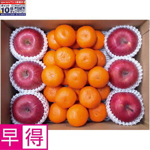 Gg[Ń|Cg10{y~̑̑za̎RYEXY݂E񂲃Zbgij