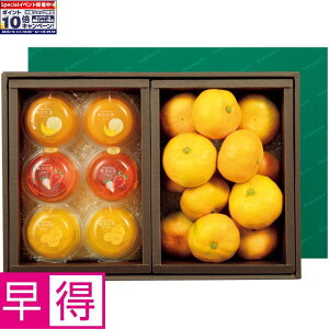 Gg[Ń|Cg10{y~̑̑zF{YF{݂񁕌F{ʉʃ[[