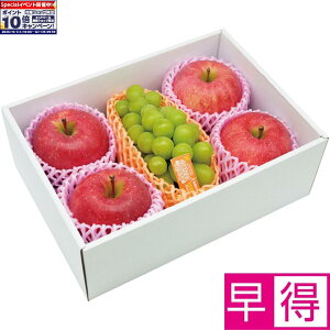 Gg[Ń|Cg10{y~̑̑z쌧YkMB̃VC}XJbgƃTӂ