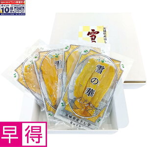 Gg[Ń|Cg10{y~̑̑z錧YiƏj_Ƃ̊Zbg