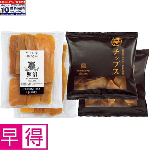 Gg[Ń|Cg10{y~̑̑z錧YiƏjÂZbg