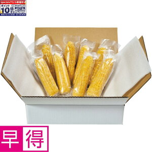 Gg[Ń|Cg10{y~̑̑zkCYⓀ{ÂƂ낱 CG[