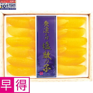 Gg[Ń|Cg10{y~̑̑zkC oVYY̎q