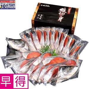 Gg[Ń|Cg10{y~̑̑zkCnV Oidݐ@iÉj