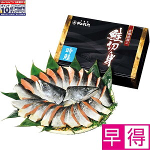 Gg[Ń|Cg10{y~̑̑zkCn Oidݐ@iÉj