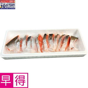 Gg[Ń|Cg10{y~̑̑zASCF 茧Y{BؐgiÉj