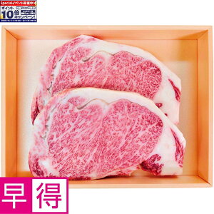 Gg[Ń|Cg10{y~̑̑zˋT[CXe[Lp