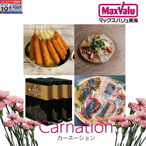 Gg[Ń|Cg10{Cn̎YiIŊyށIJ[hMtg uJ[l[Vv R[X