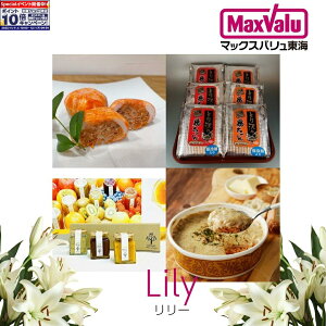 Gg[Ń|Cg10{Cn̎YiIŊyށIJ[hMtg u[v R[X