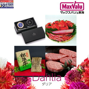 Gg[Ń|Cg10{Cn̎YiIŊyށIJ[hMtg u_Av R[X