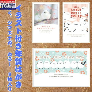 Gg[Ń|Cg10{yt^oNpbNz CXgtN͂ ڂAV}GiKB J[i3j