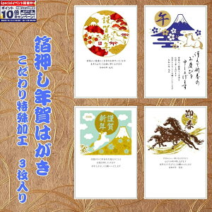 Gg[Ń|Cg10{yt^oNpbNz N͂ H J[i3j