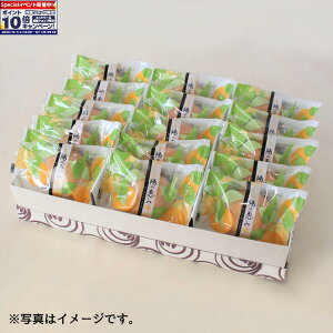 Gg[Ń|Cg10{yʉؓz݂\žb 15 ݂ \  aَq aَq aَqv[g  䓖nَq É̂yY É