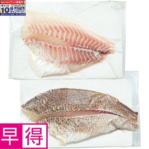 Gg[Ń|Cg10{y~̑̑zhYOdYY{B^^hgpi1 2j АgFt АgF疳