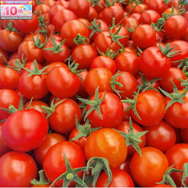 ★エントリーでポイント10倍★【イノチオ】野菜で元気！ミニトマト_1.8kg