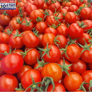 Gg[Ń|Cg10{yCm`Iz؂ŌCI~jg}g_1.8kg