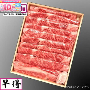 Gg[Ń|Cg10{yizOdY Y㋍[XĂp800g[ ؔ ]